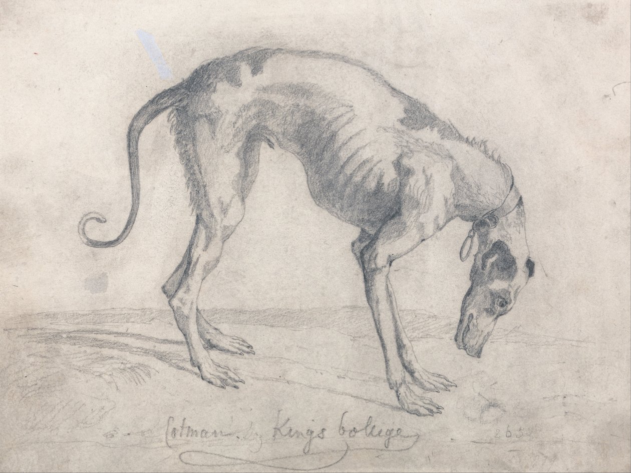 En sultet mynde av John Sell Cotman