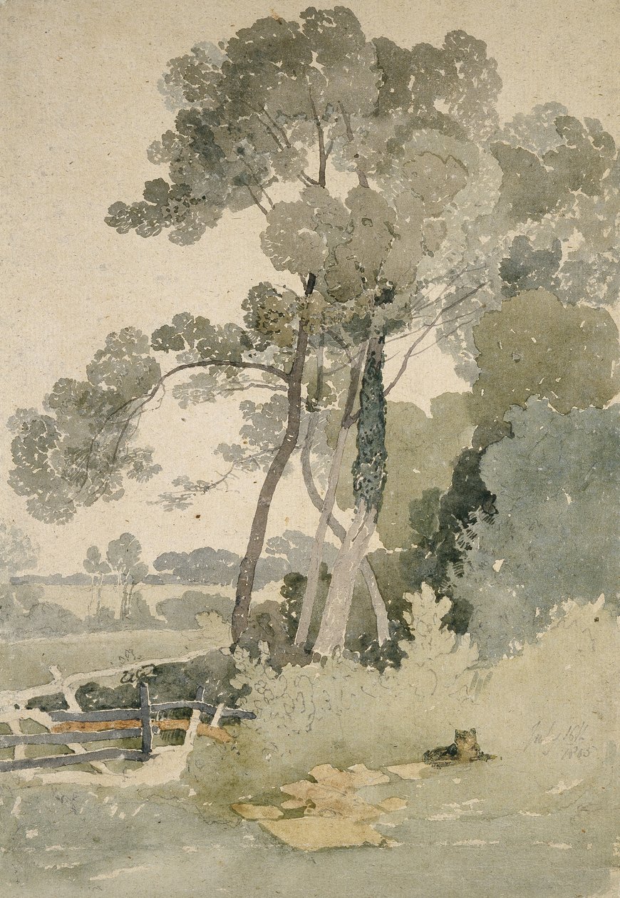 Nær Brandsby, Yorkshire, 1865 (akvarell på papir) av John Sell Cotman