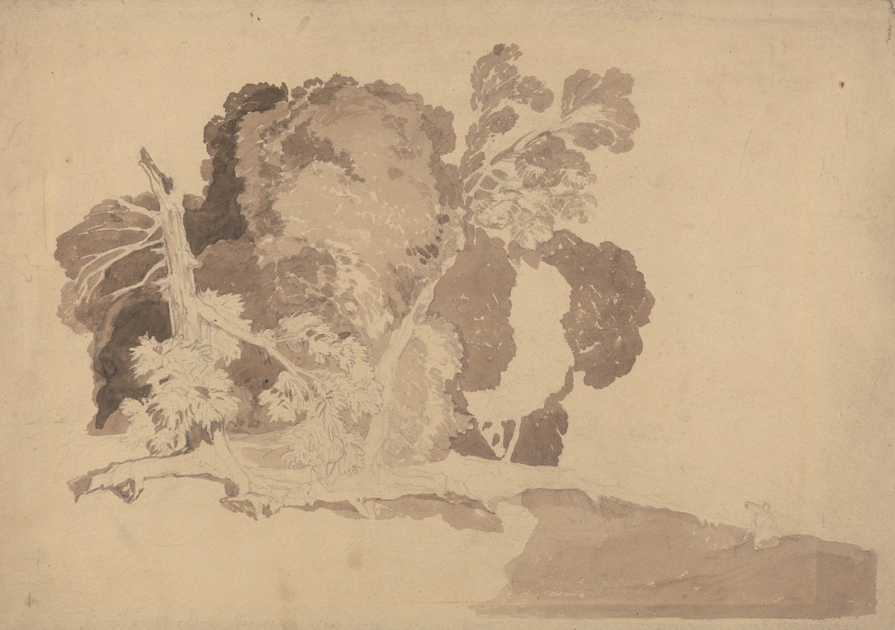 Studie av trær av John Sell Cotman