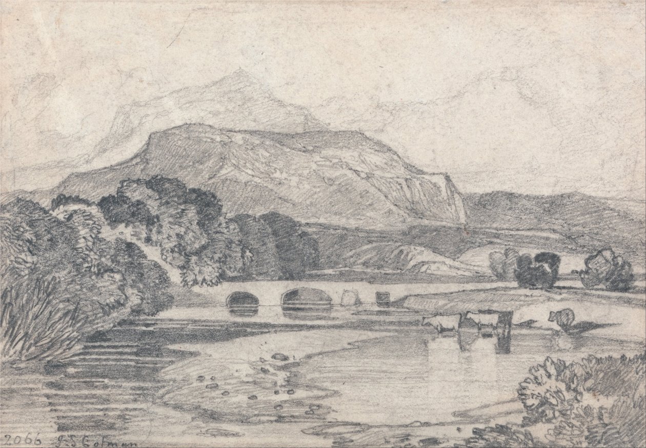 Tan-y-Bwlch, Nord-Wales av John Sell Cotman