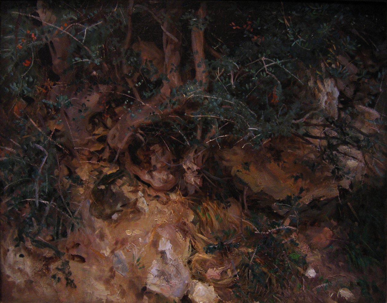 Valldemossa, Mallorca: Thistles and Herbage on a Hillside av John Singer Sargent