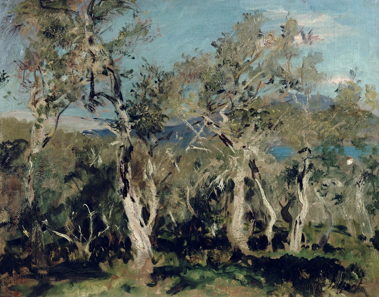 Oliven, Korfu, 1912 av John Singer Sargent