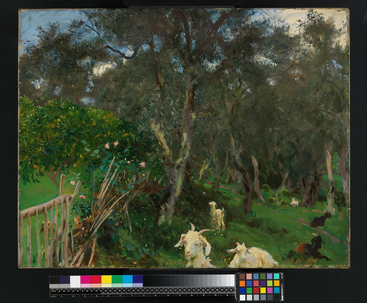 Oliven på Korfu, 1909 av John Singer Sargent