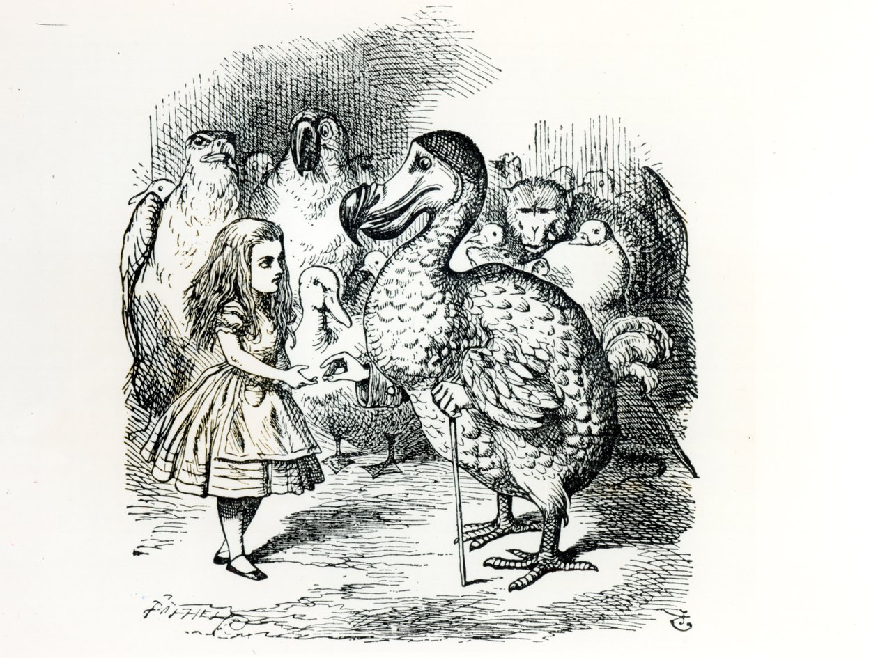 Alice møter Dodo, illustrasjon fra 
