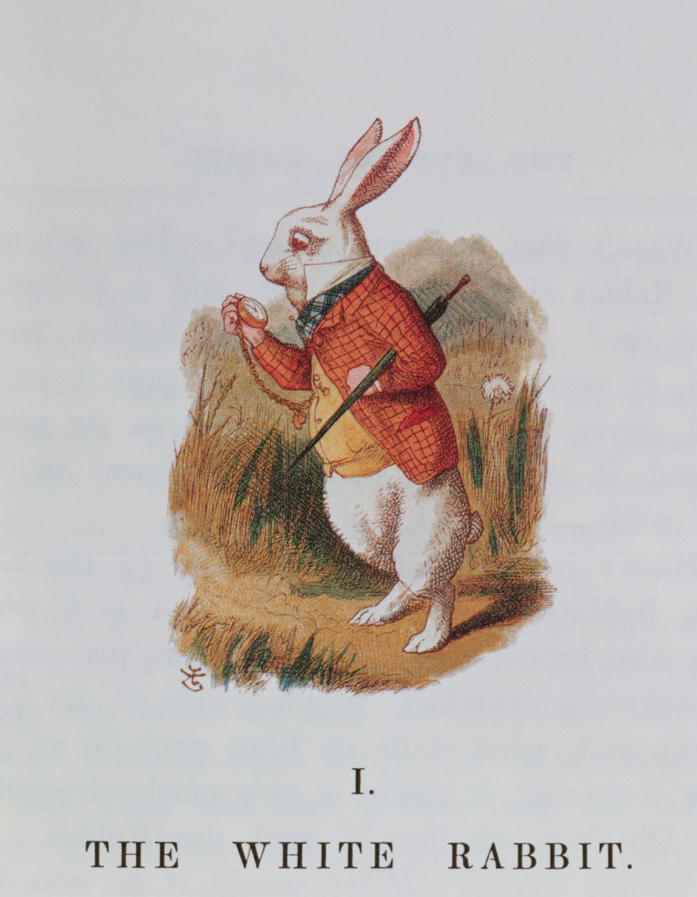 The White Rabbit, illustrasjon fra 