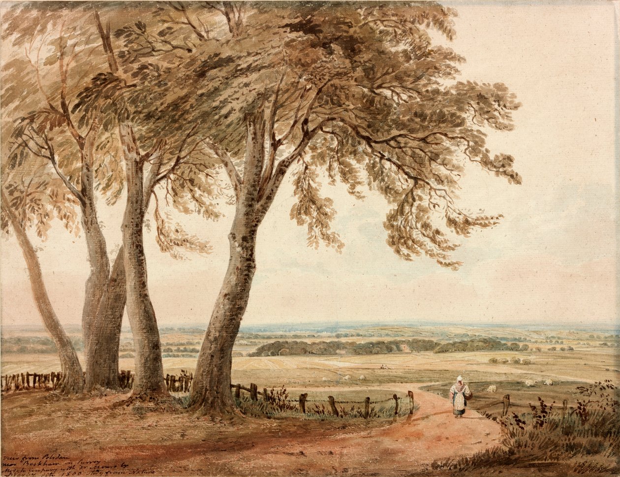 Utsikt fra Polesden, Surrey, 1800 av John Varley
