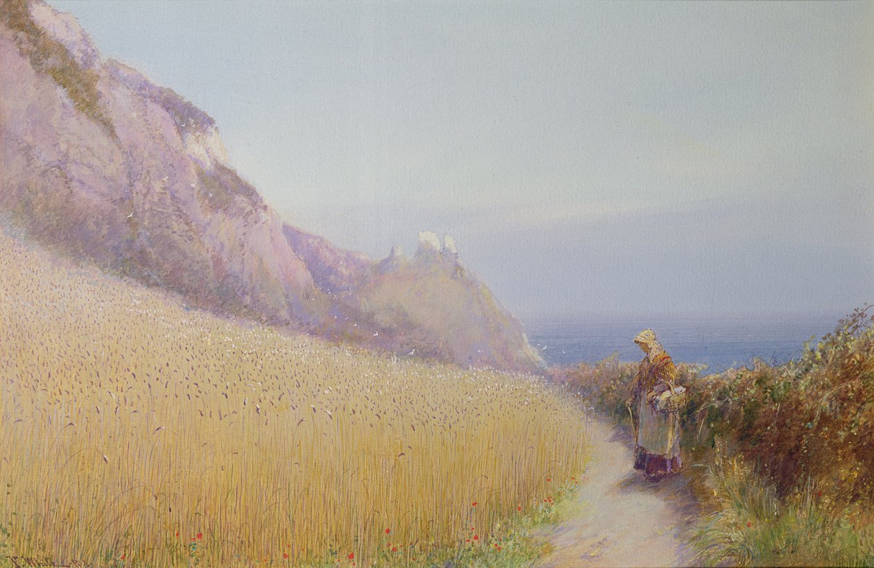 En kornåker nær Sidmouth, Devon av John White