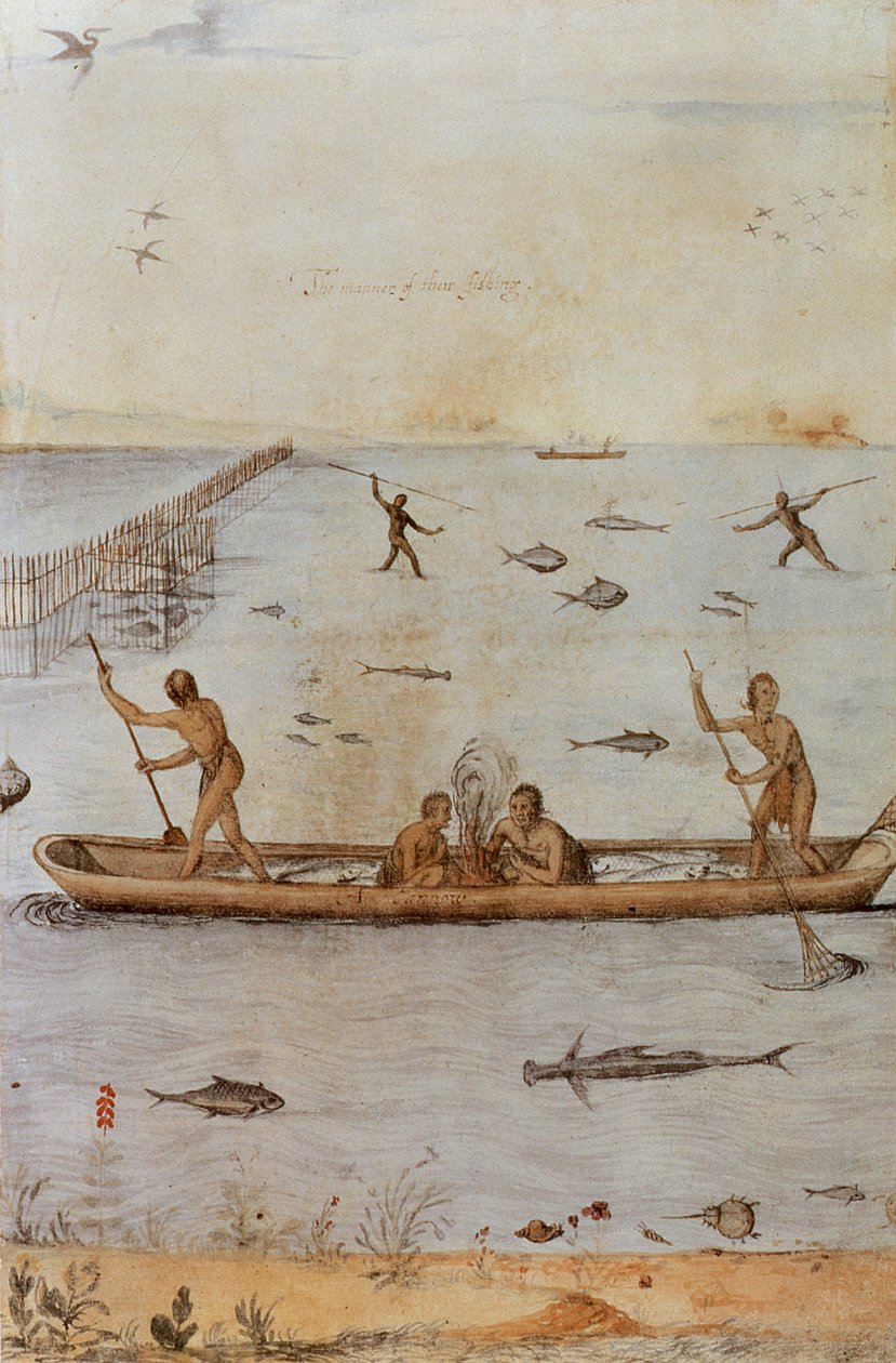 Indianere som fisker av John White