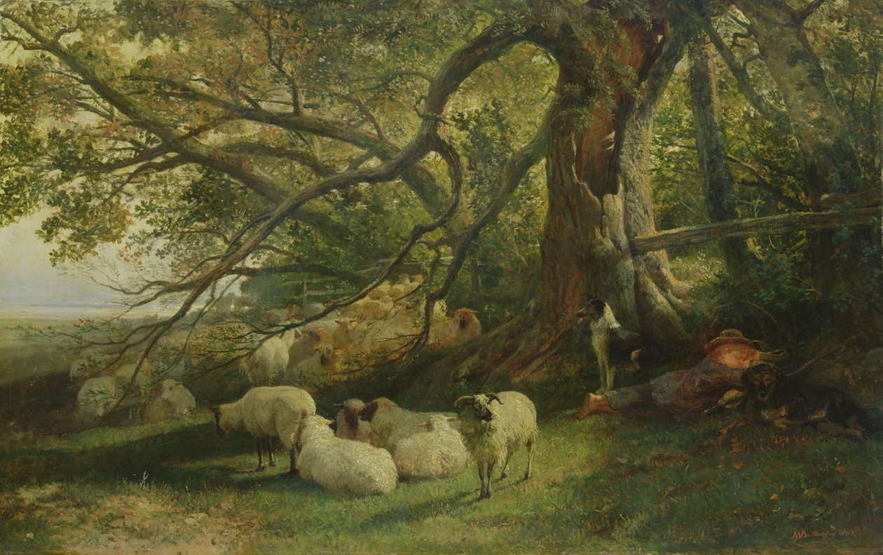 Hvilende flokk, 1863 av John William Bottomley