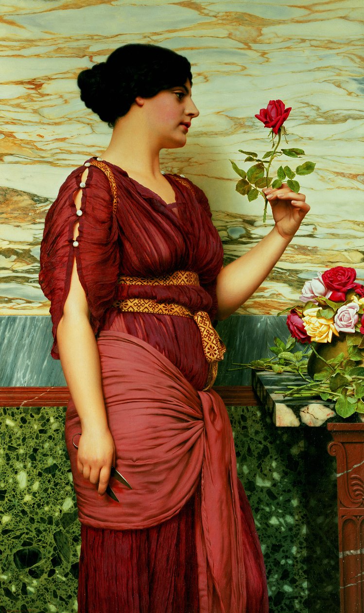 En rød, rød rose av John William Godward