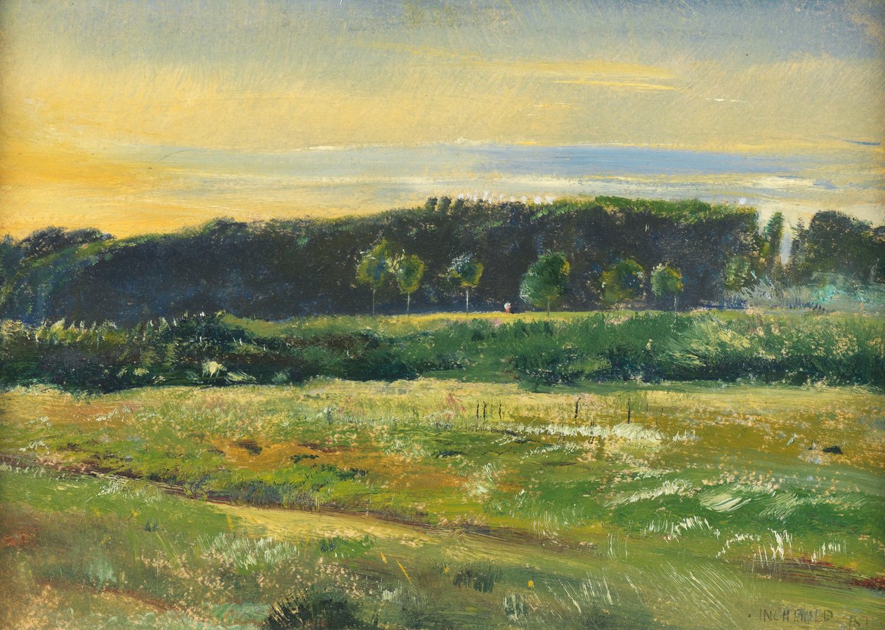 The Common, juni, 1871 (olje på kort) av John William Inchbold