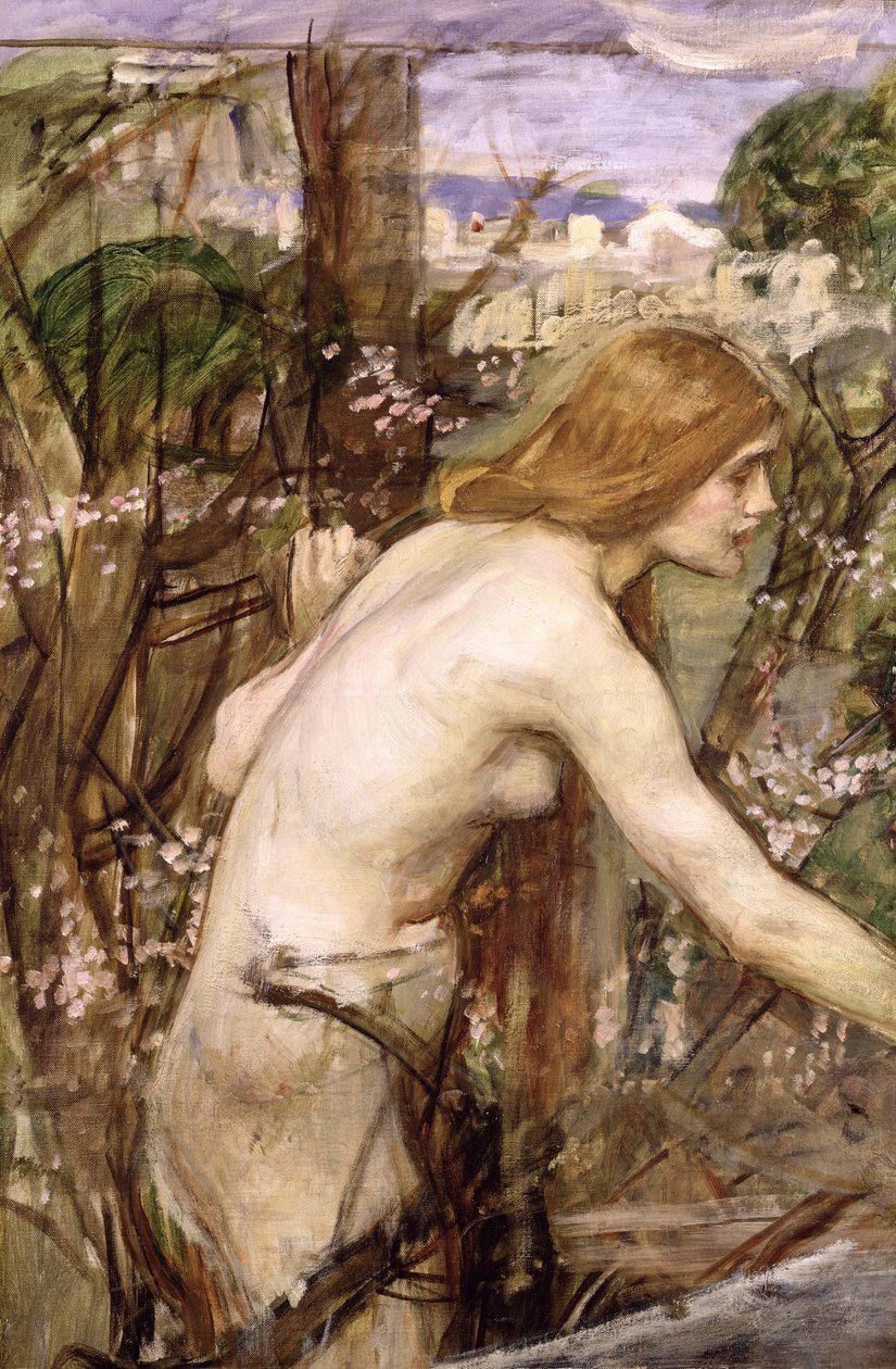 Blomsterplukkeren (olje på lerret lagt ned om bord) av John William Waterhouse