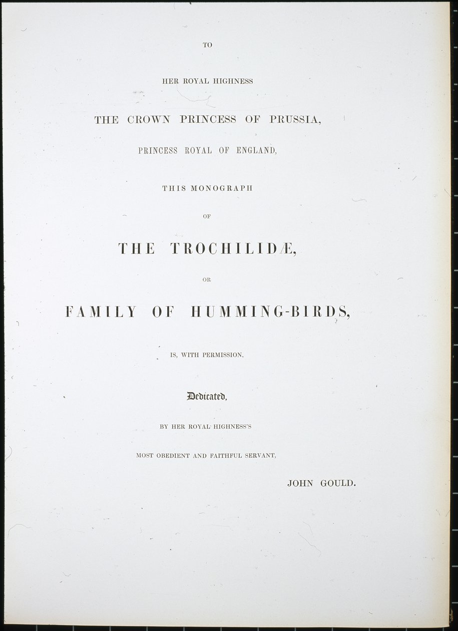 Frontispice (håndfarget litho) av John (after) Gould