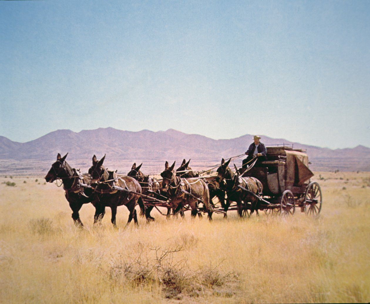 Western Stagecoach trukket av et lag med seks muldyr (bilde) av Walter Charles Mills