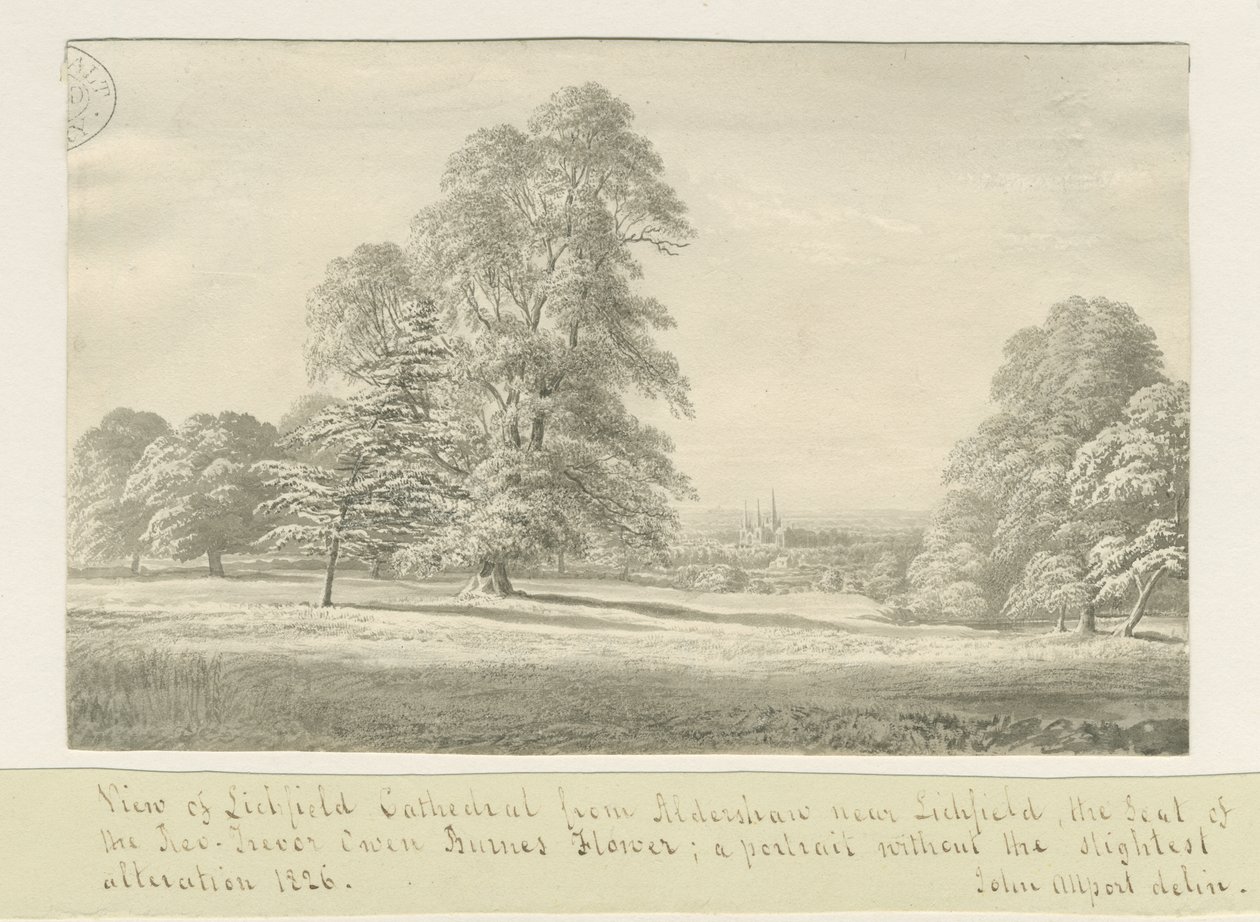 Lichfield Cathedral - Utsikt fra Aldershaw (fjern): sepia-tegning av John Allport