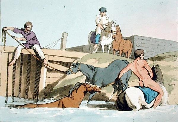 Badende hester, etset av kunstneren, utgitt 1803 (farge litho) av John Augustus Atkinson