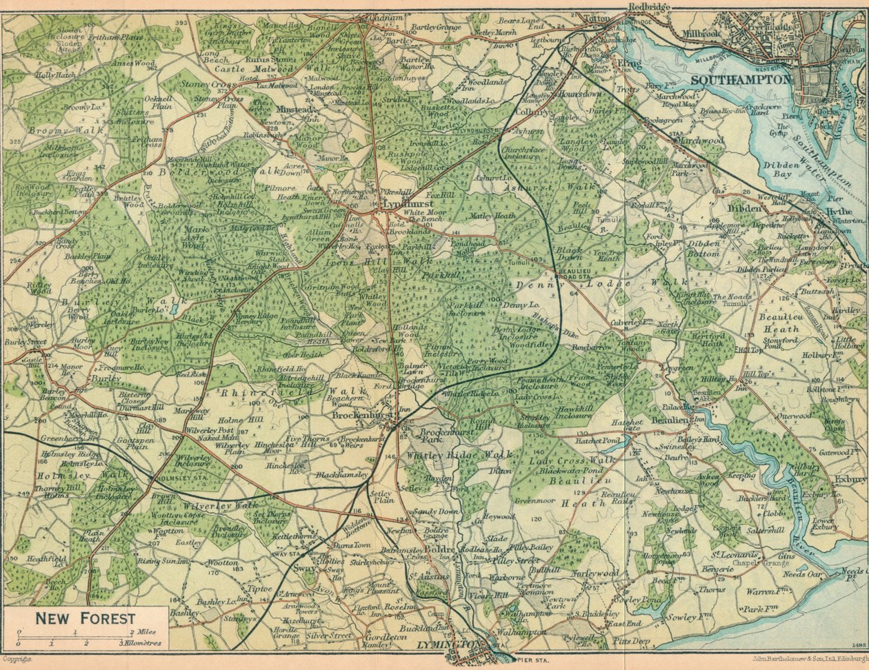 New Forest, c20th Century av John Bartholomew