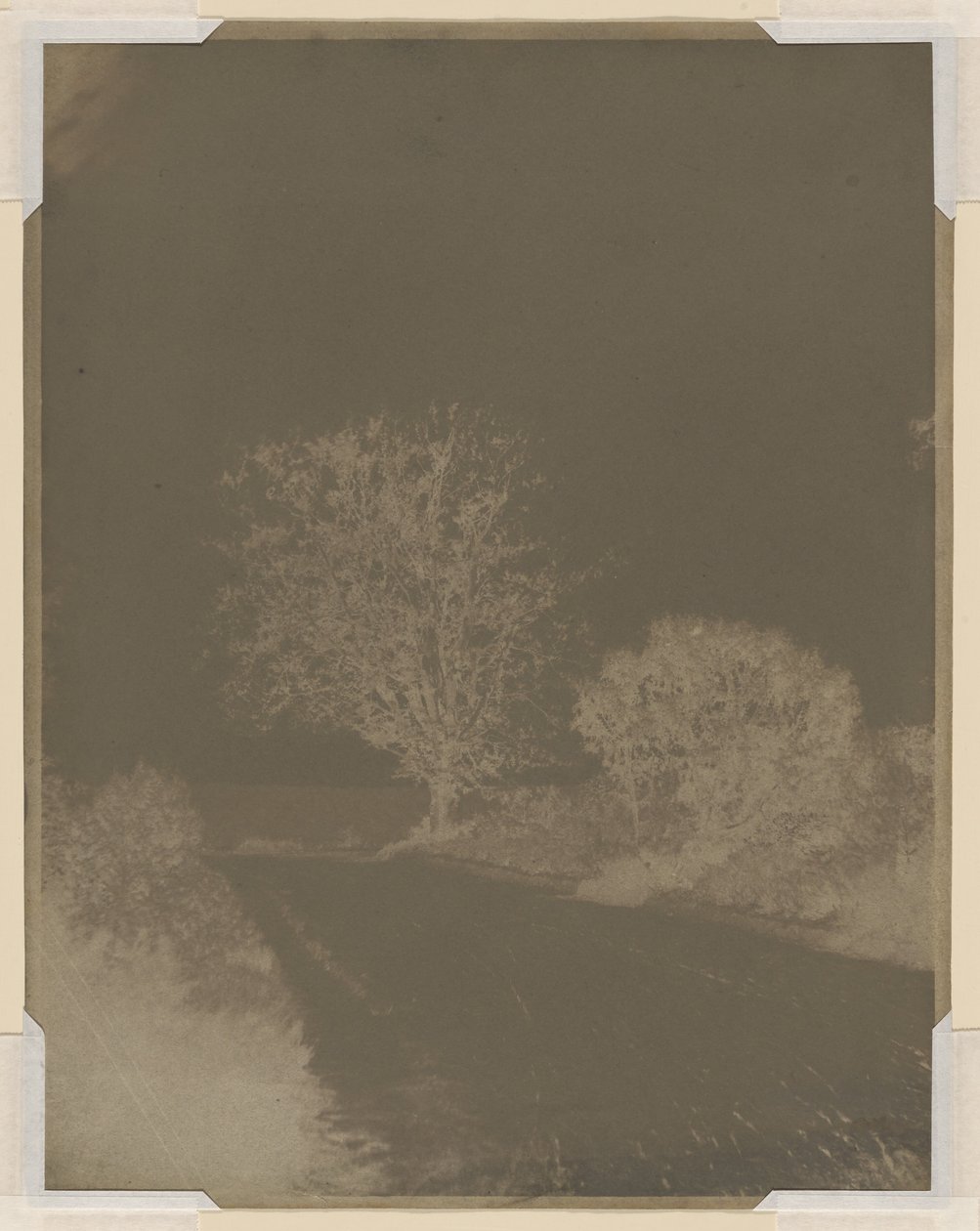  av John Beasley Greene