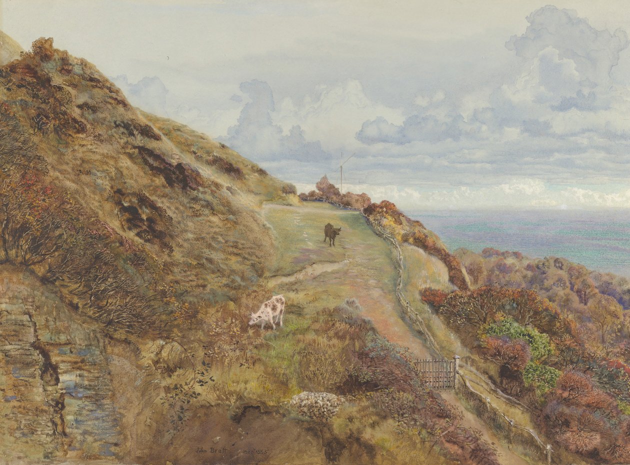 Bonchurch Downs, 1865. av John Brett