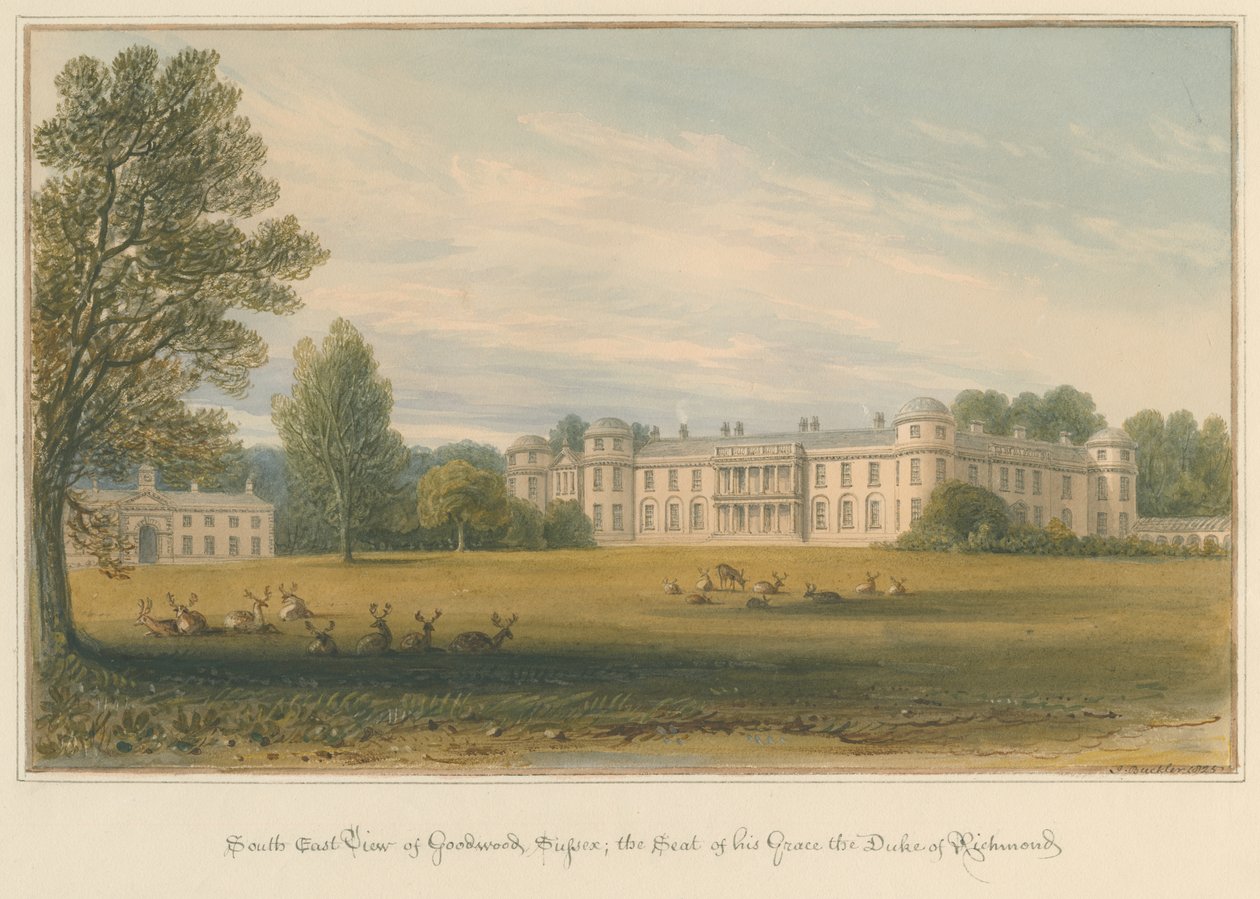 Sussex - Goodwood, 1825 av John Buckler