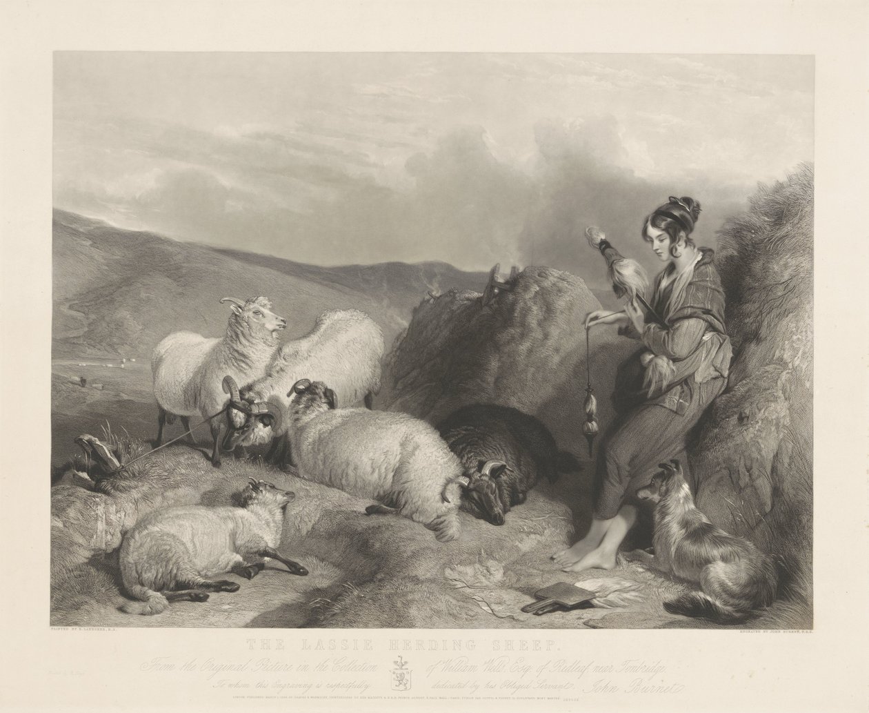 Lassie gjeter sauer. av John Burnet