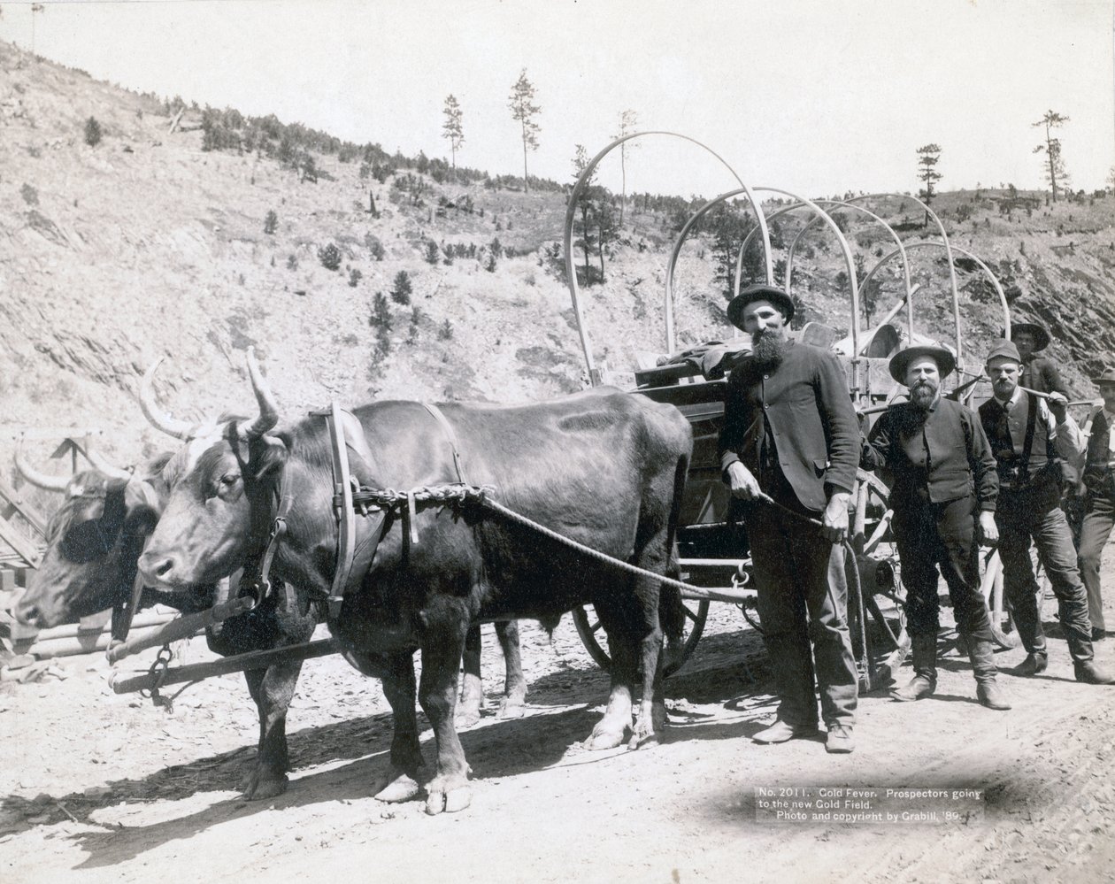 Gold Fever in South Dakota av John C. H. Grabill