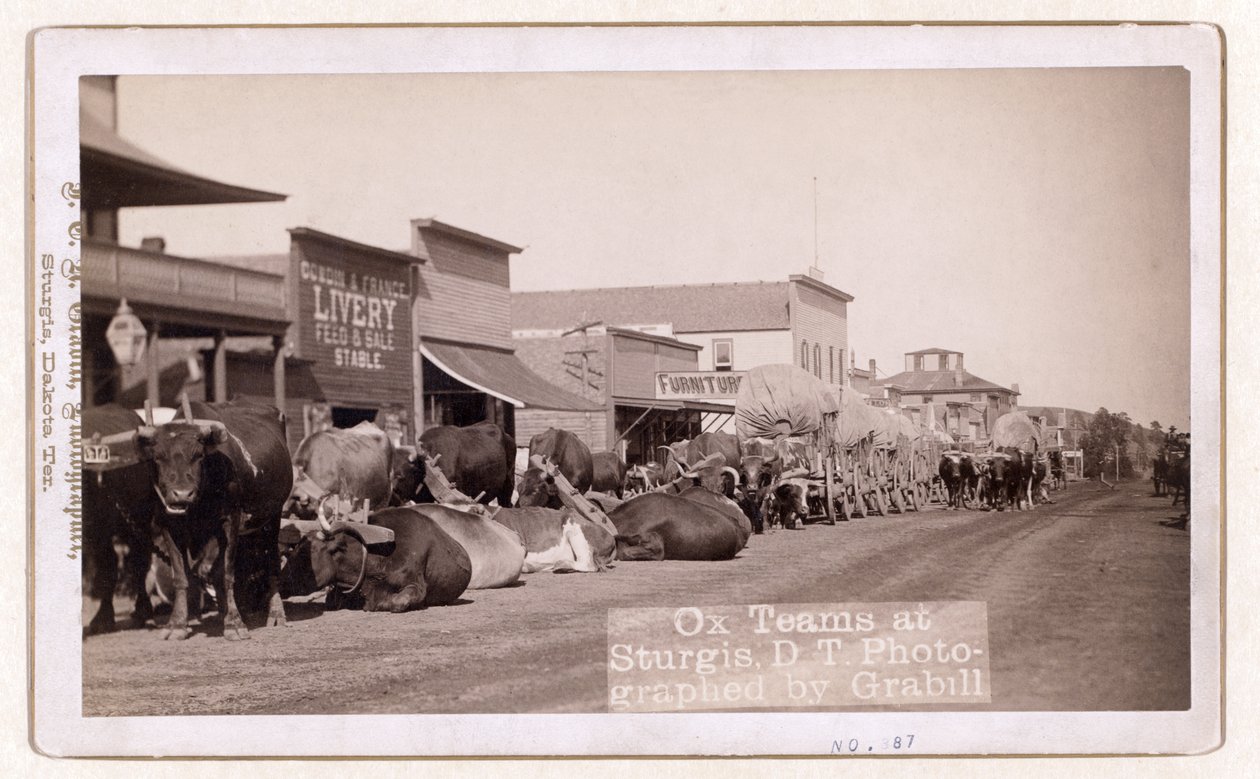 Okselag i Sturgis, D.T., pub.1887 - 1892 (bilde) av John C. H. Grabill