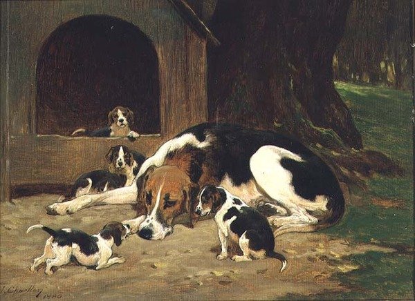 En revehund tispe med kullet sitt av John Charlton
