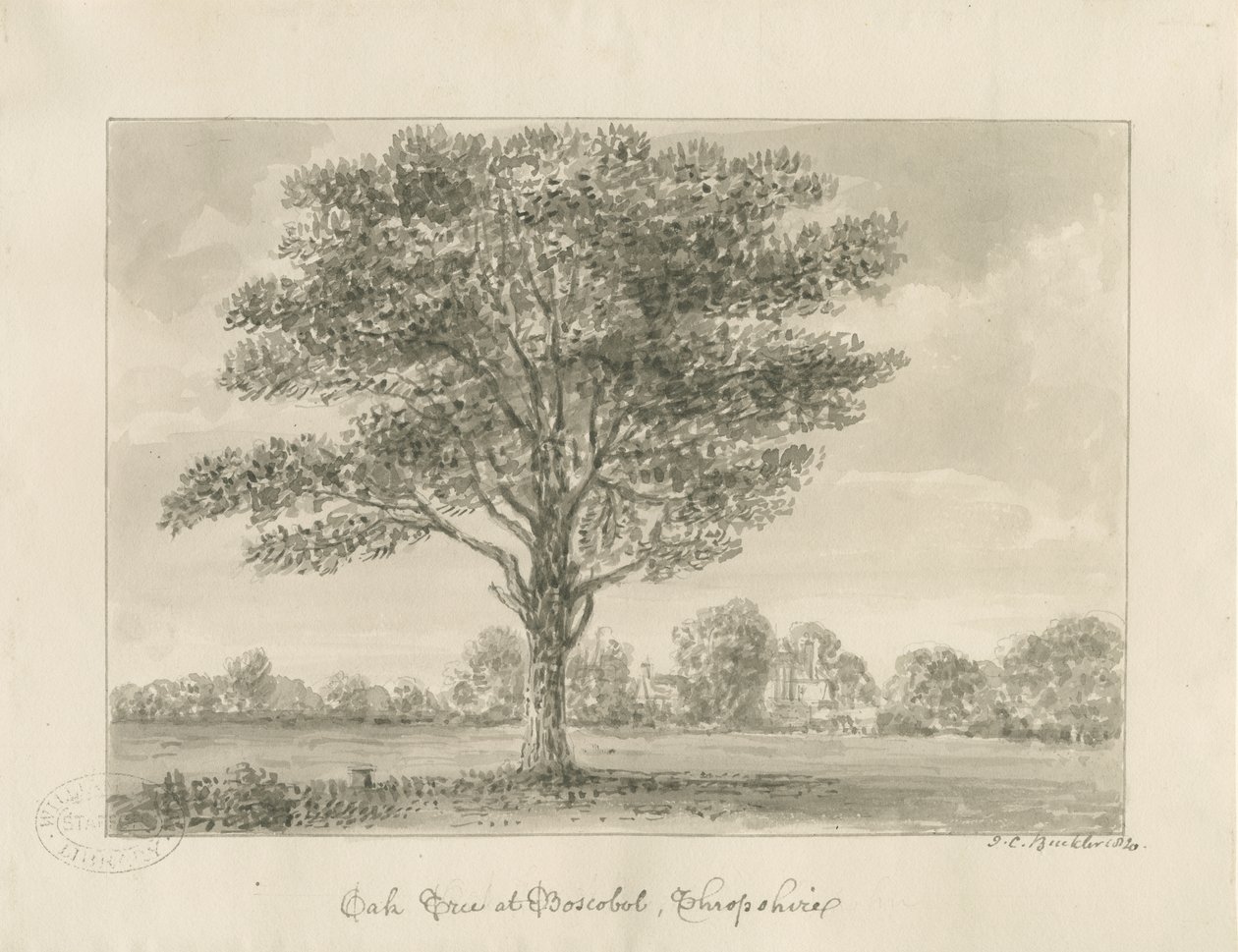 Boscobel - The Royal Oak: sepia-tegning, 1820 av John Chessell Buckler