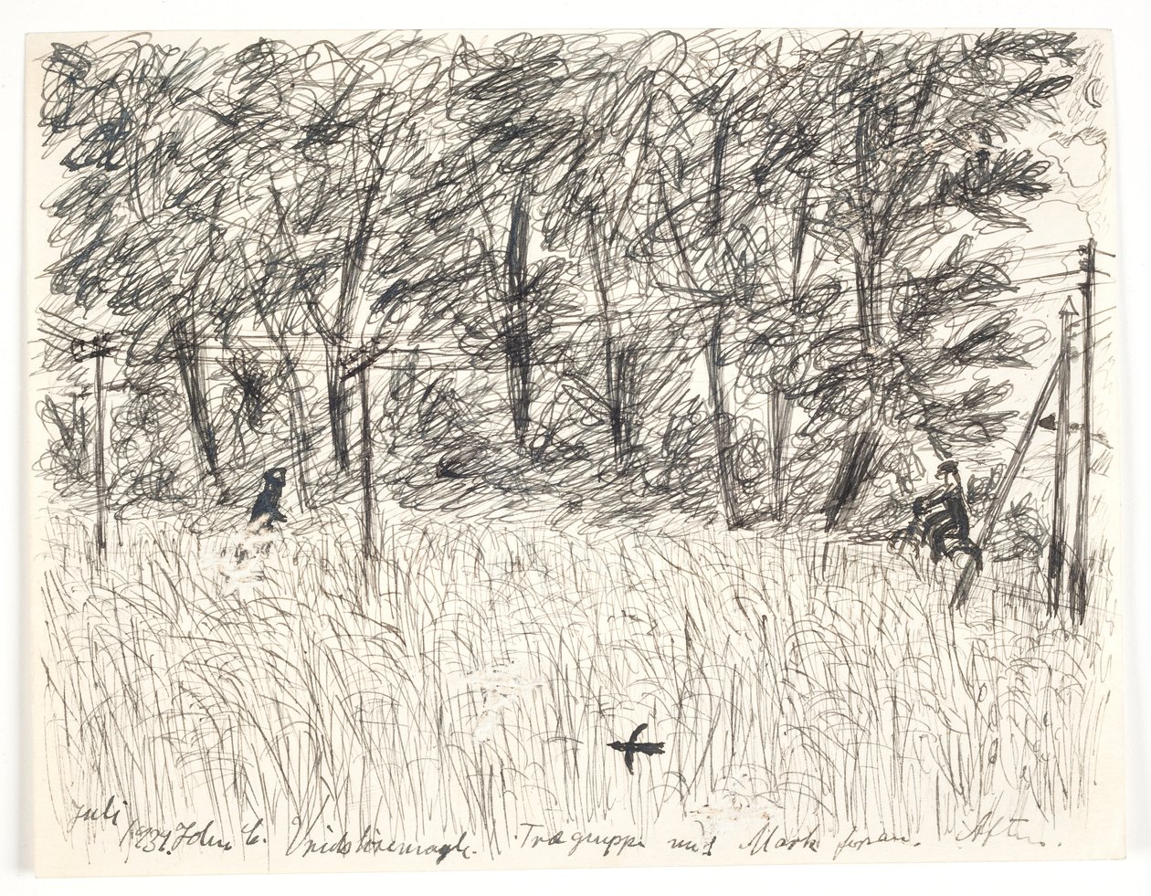 Vridsløsemagle. Tregruppe med felt foran. Kveld av John Christensen