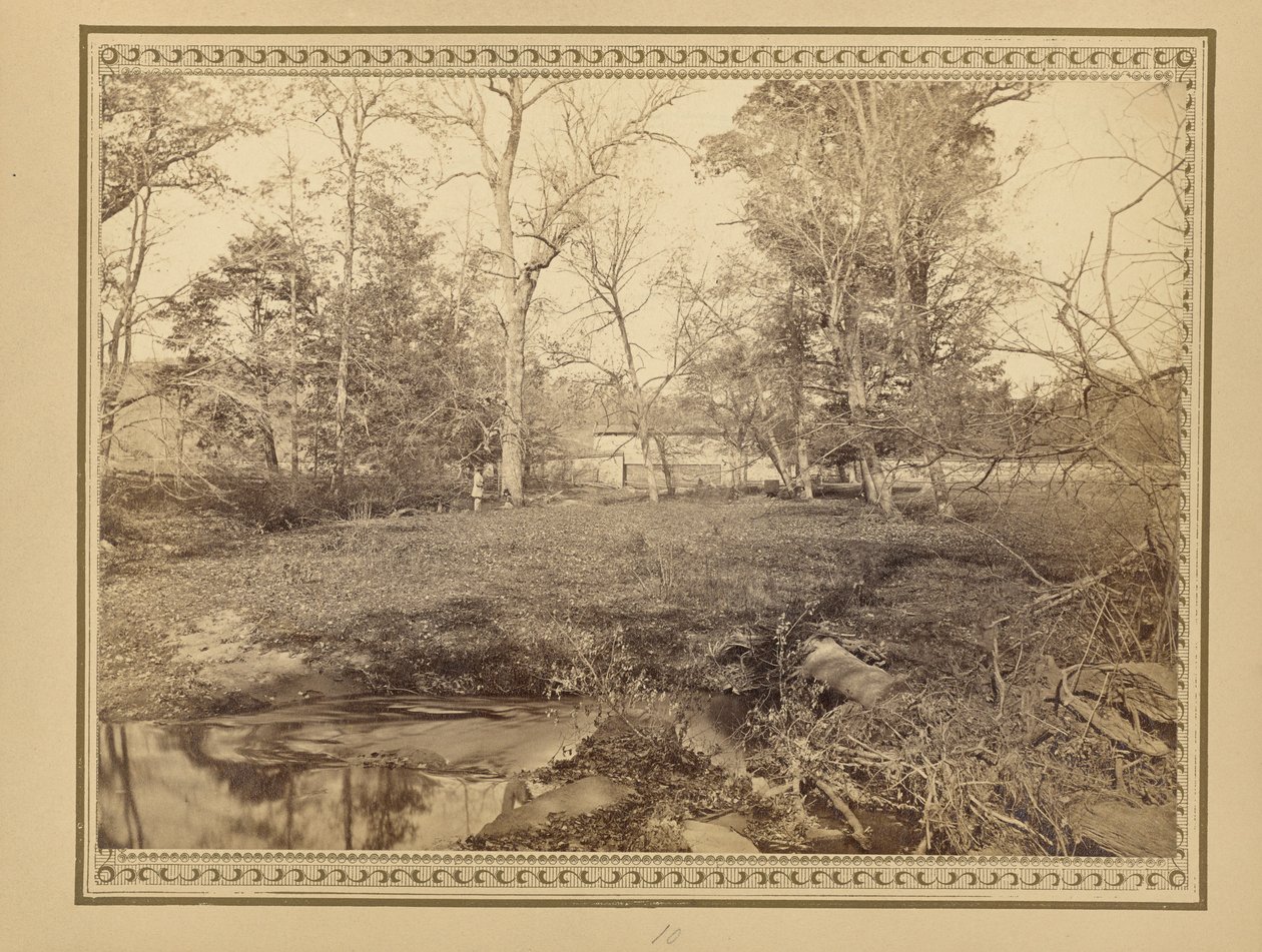  av John Coates Browne