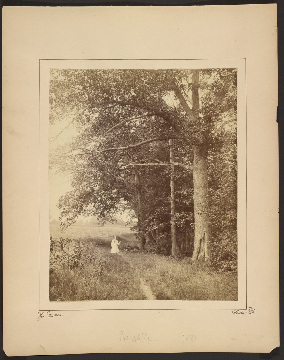  av John Coates Browne