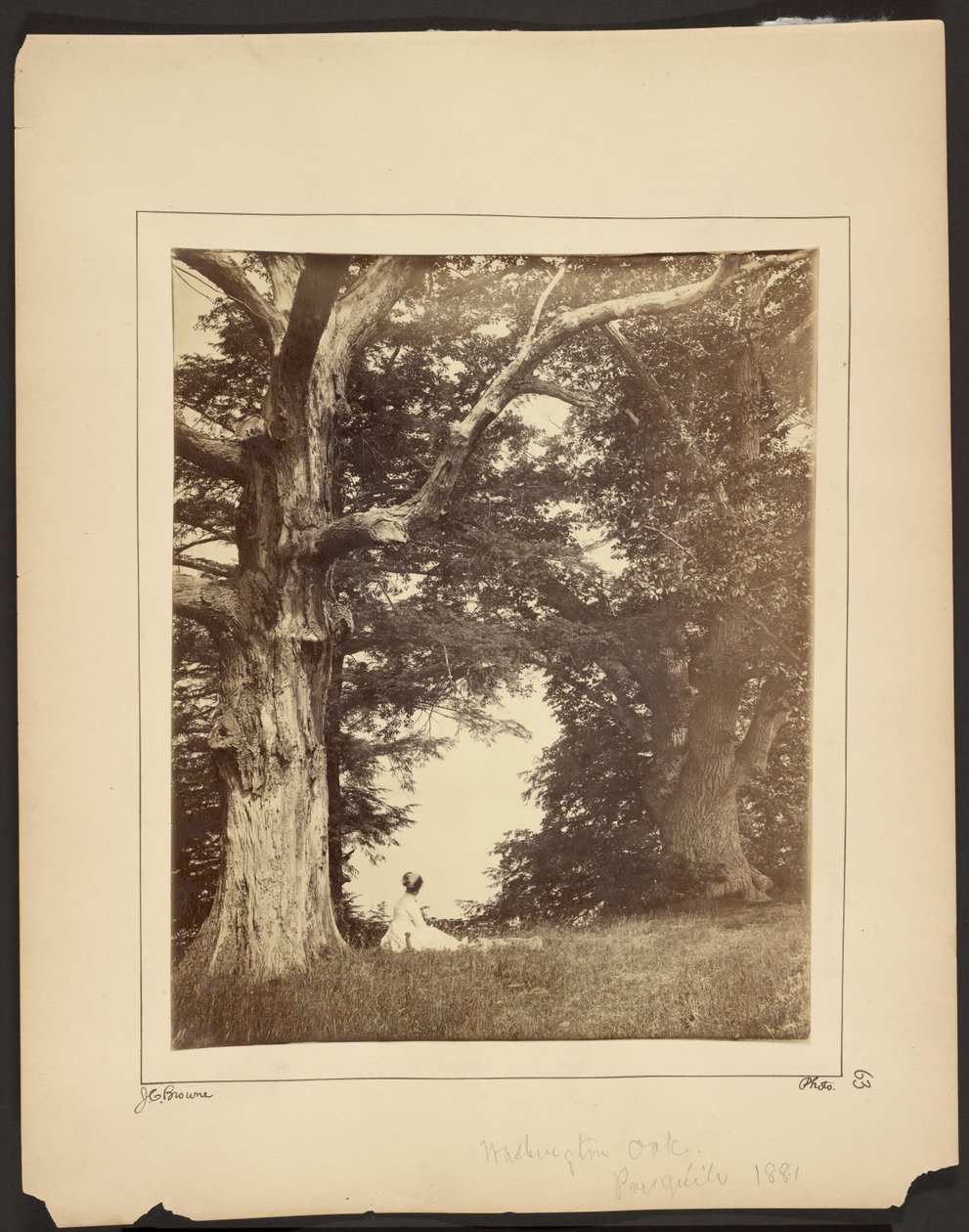  av John Coates Browne