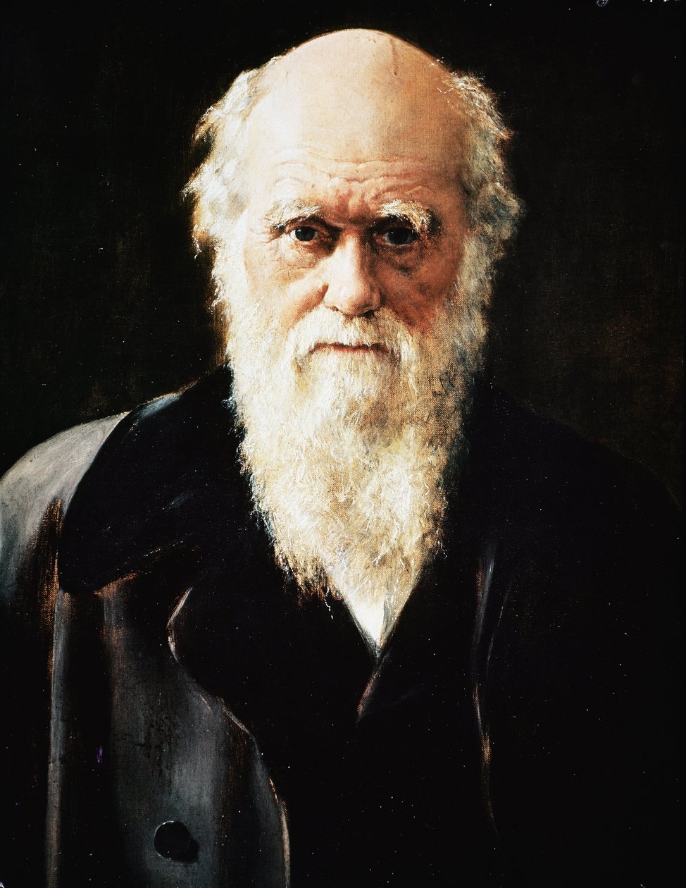 Portrett av den engelske naturforskeren Charles Darwin, detalj (olje på lerret av John Collier