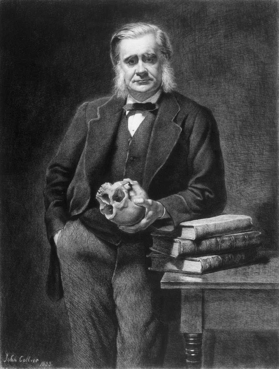 Thomas Henry Huxley (1825-95) etset av Leopold Flameng (1831-1911) 1885 av John Collier