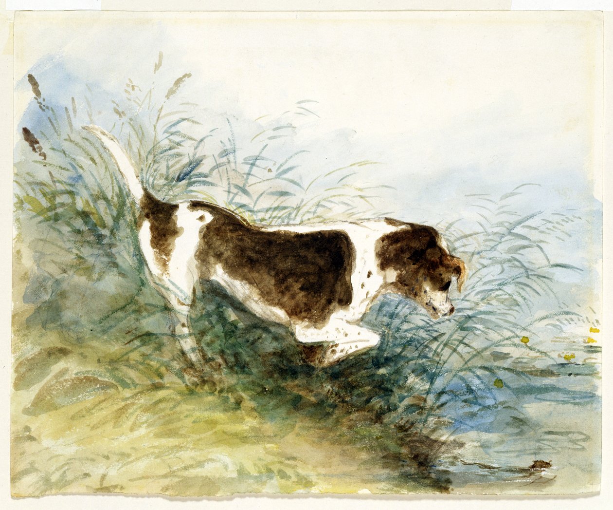 En hund som ser på en rotte i vannet - Dedham, malt 1831 av John Constable