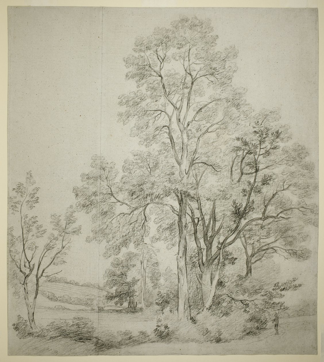 Et stativ av almetrær (recto); En studie av Øst-Bergholt med kirken (verso) av John Constable