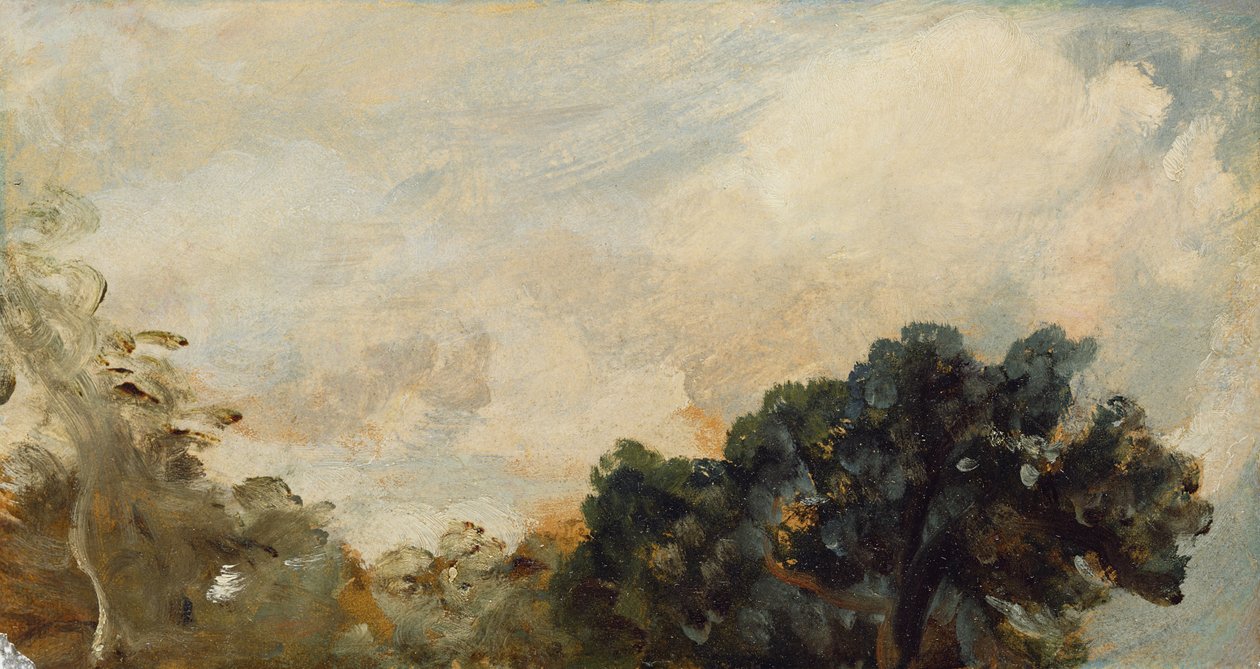 Cloud Study with Trees, 1821 (olje på papir lagt ned om bord) av John Constable