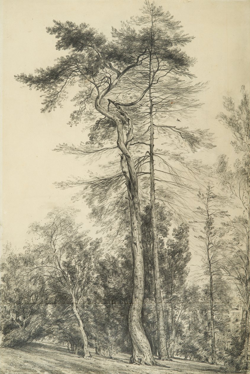 Grantrær, ca. 1833 av John Constable
