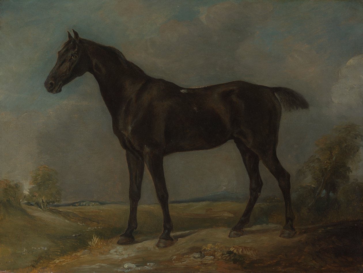 Golding Constables svarte ridehest av John Constable
