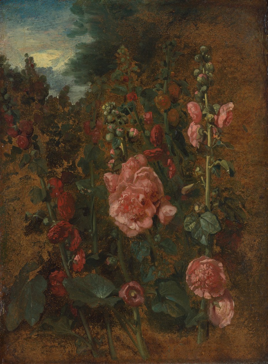 Studie av stokkroser av John Constable