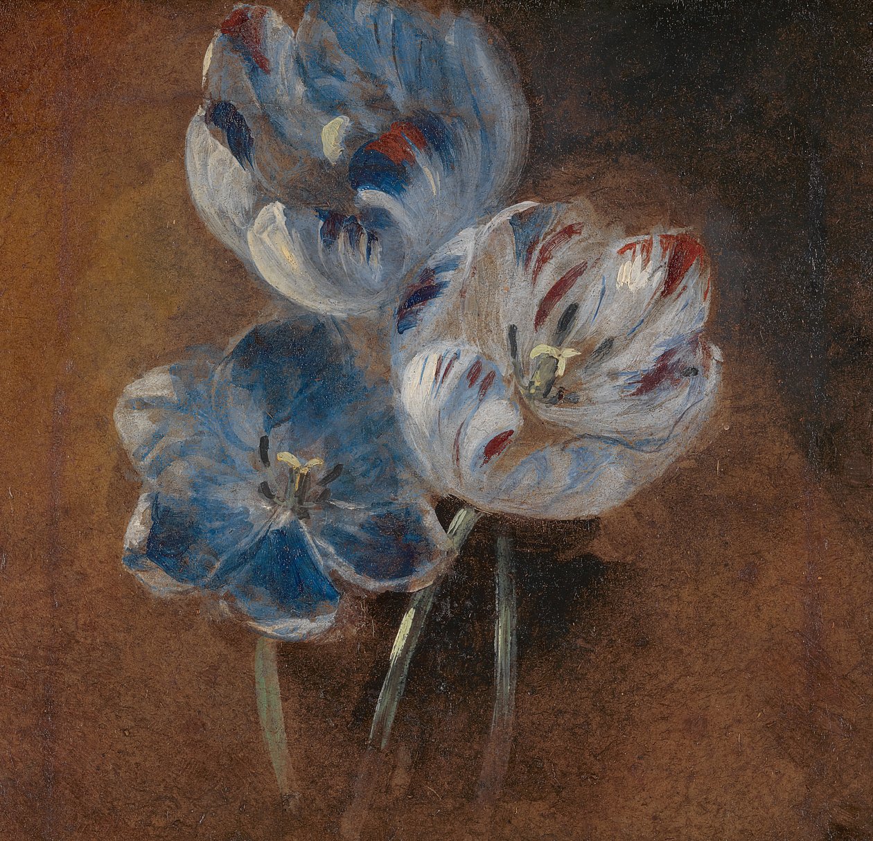 Studie av tre papegøyetulpaner, ca. 1832. av John Constable
