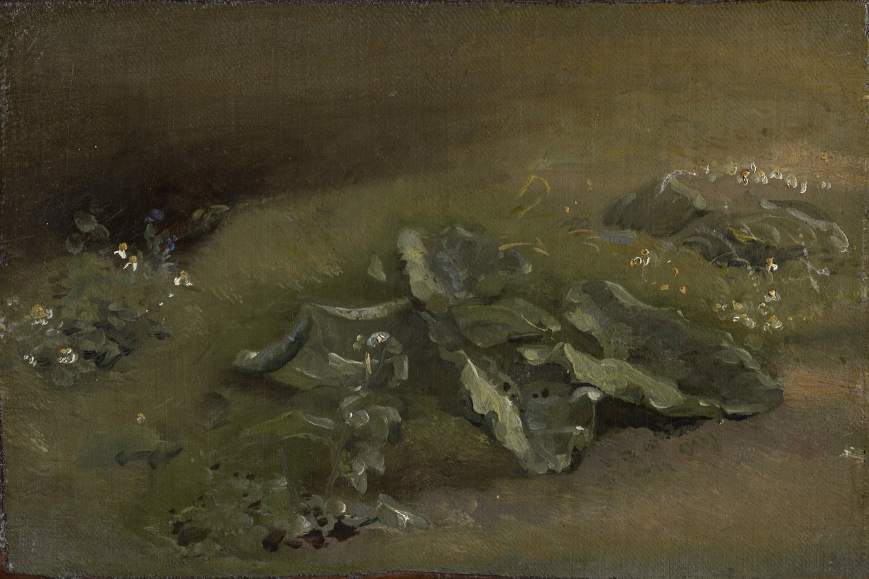 Studie av en burdock, ca. 1810-14 eller ca. 1828 av John Constable