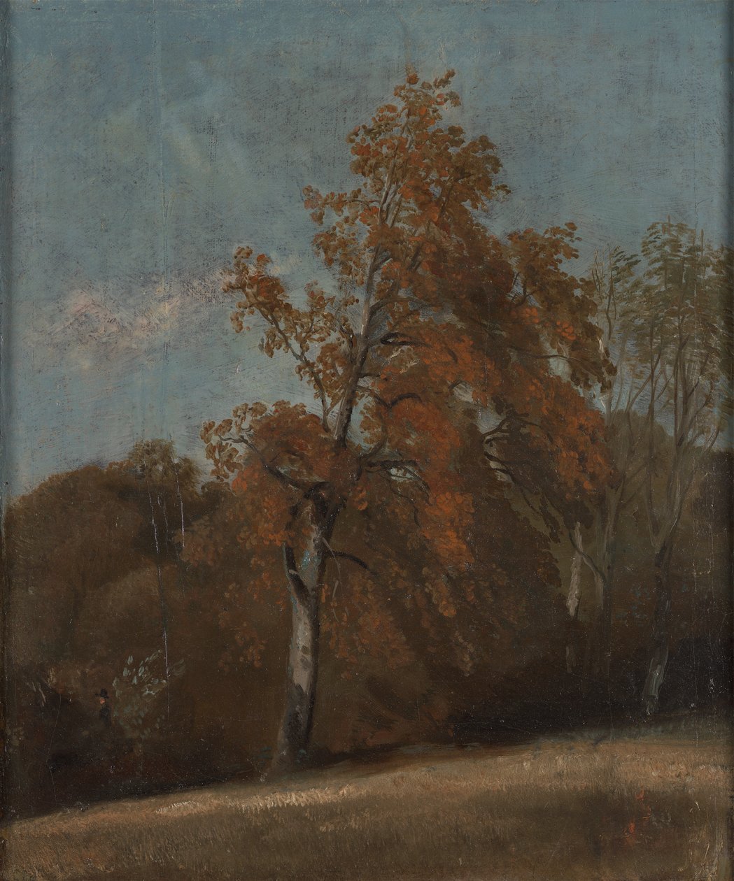 Studie av et asketre av John Constable