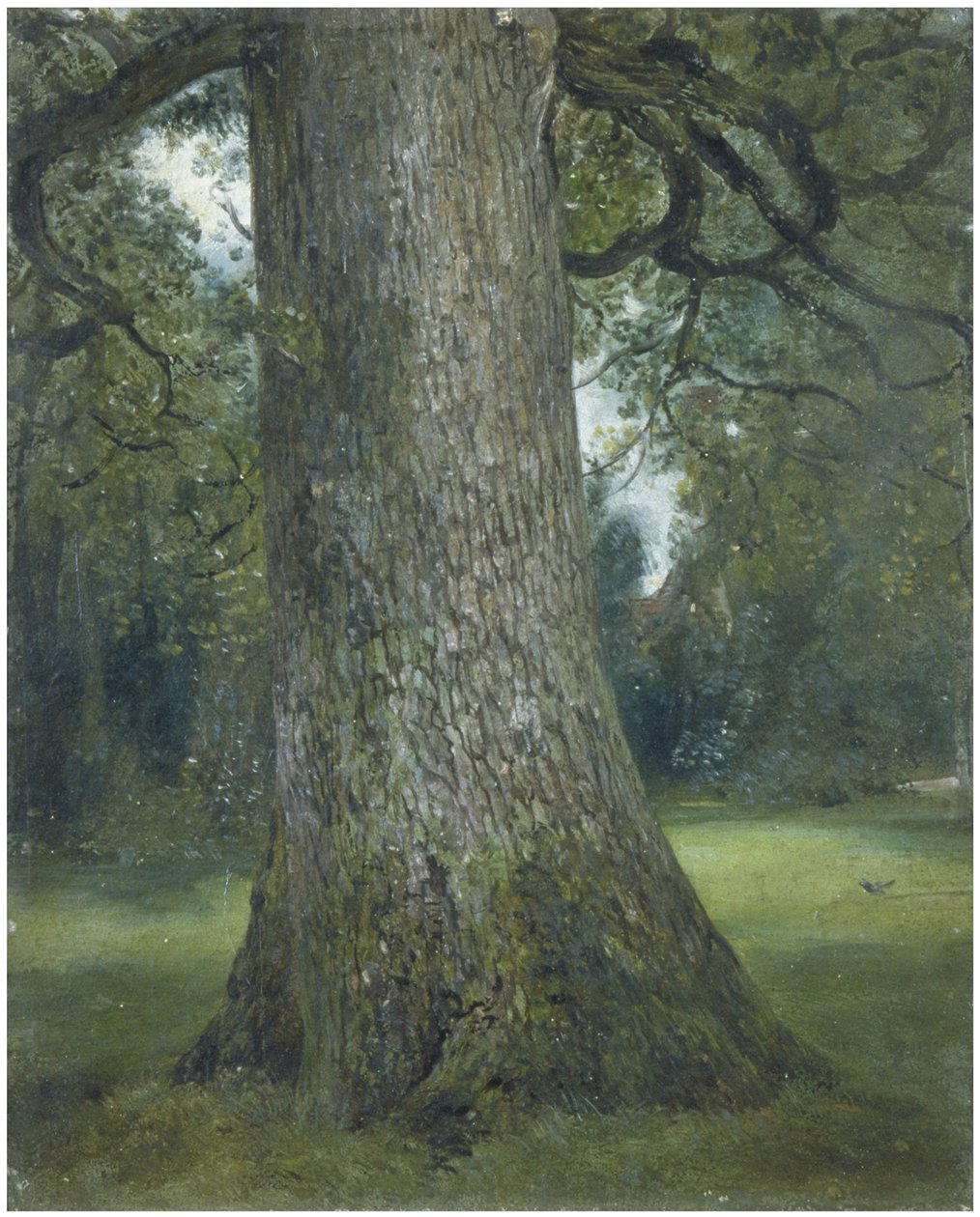 Studie av stammen til et almetre, ca. 1824 av John Constable