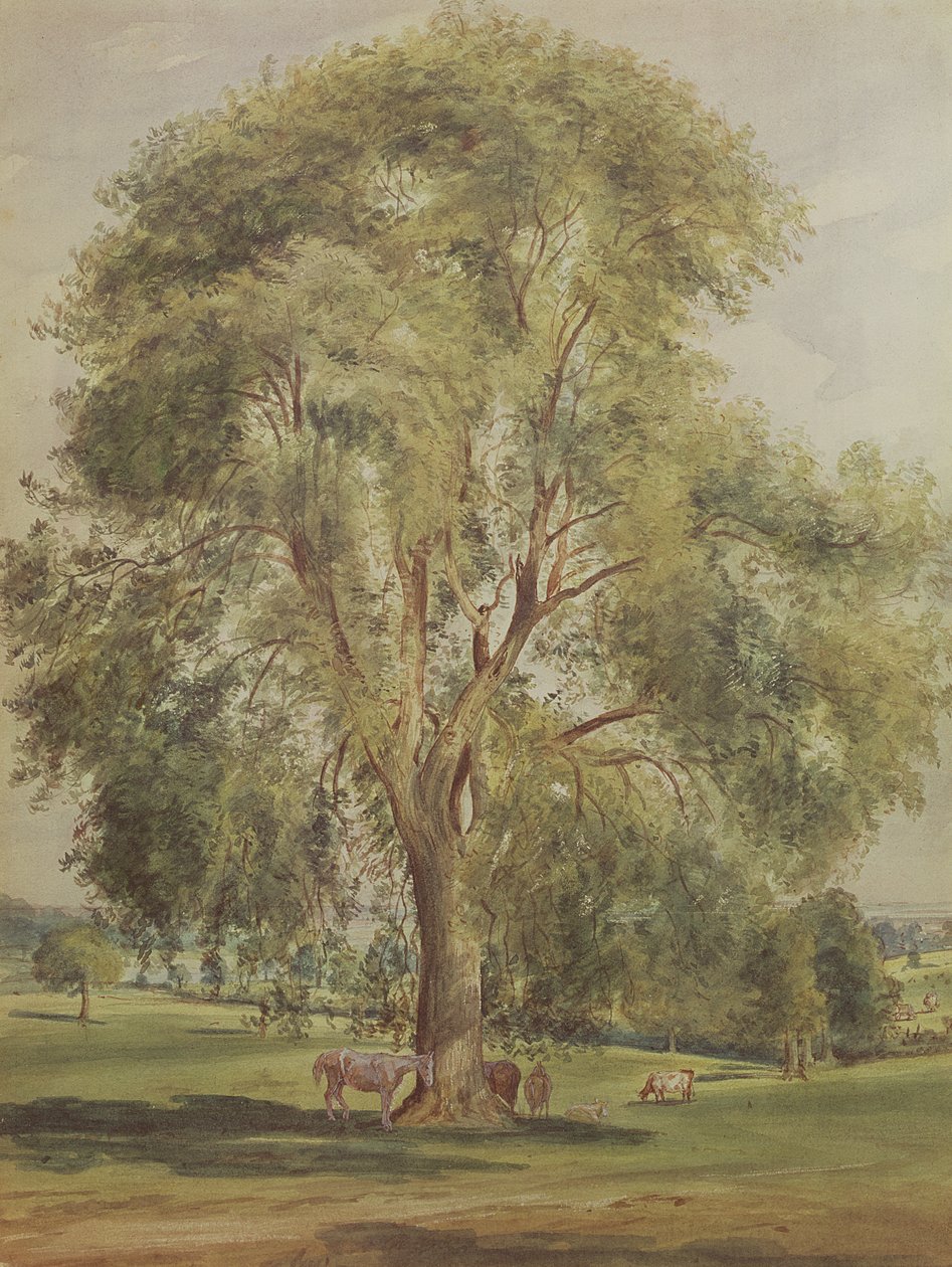 Treet (wc) av John Constable