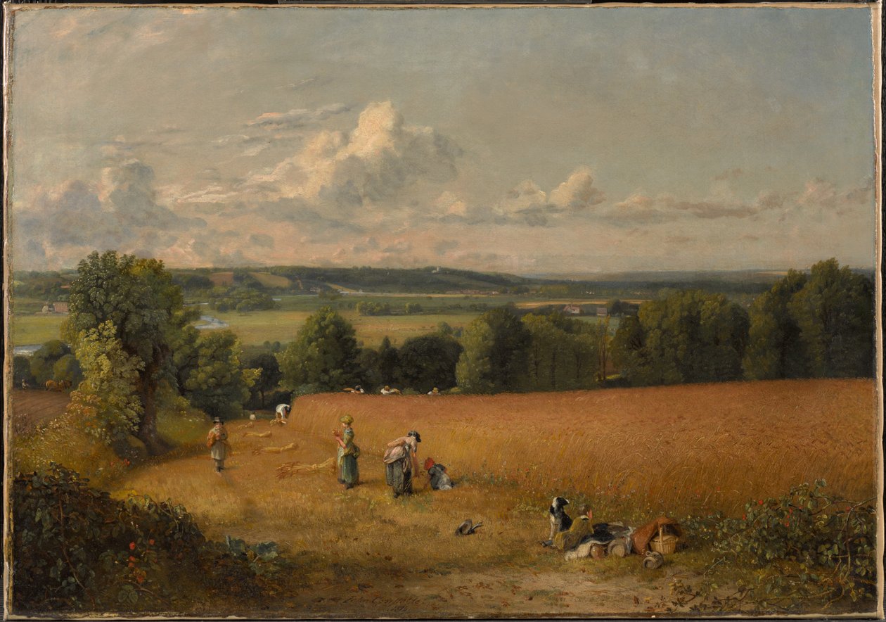 Hveteåkeren av John Constable