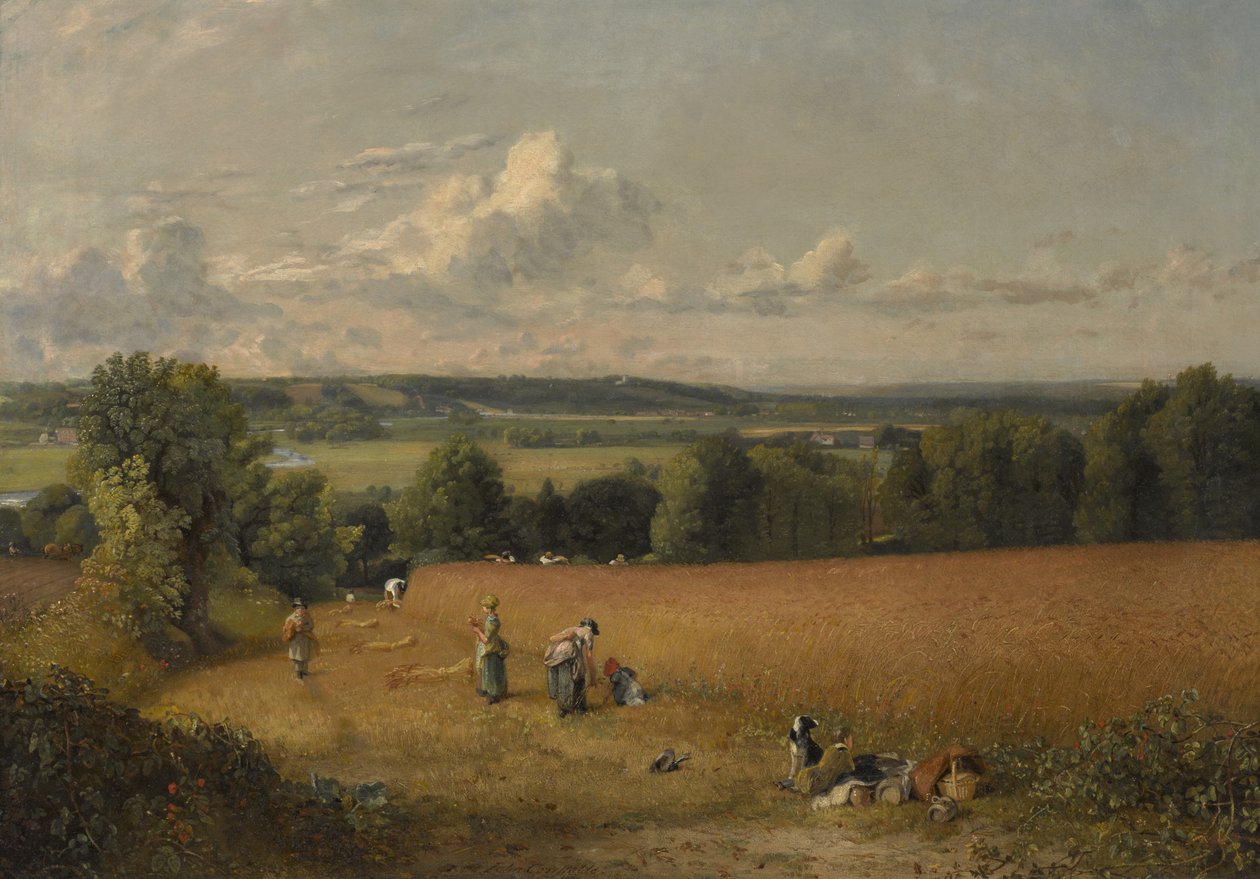 Hvetefeltet av John Constable