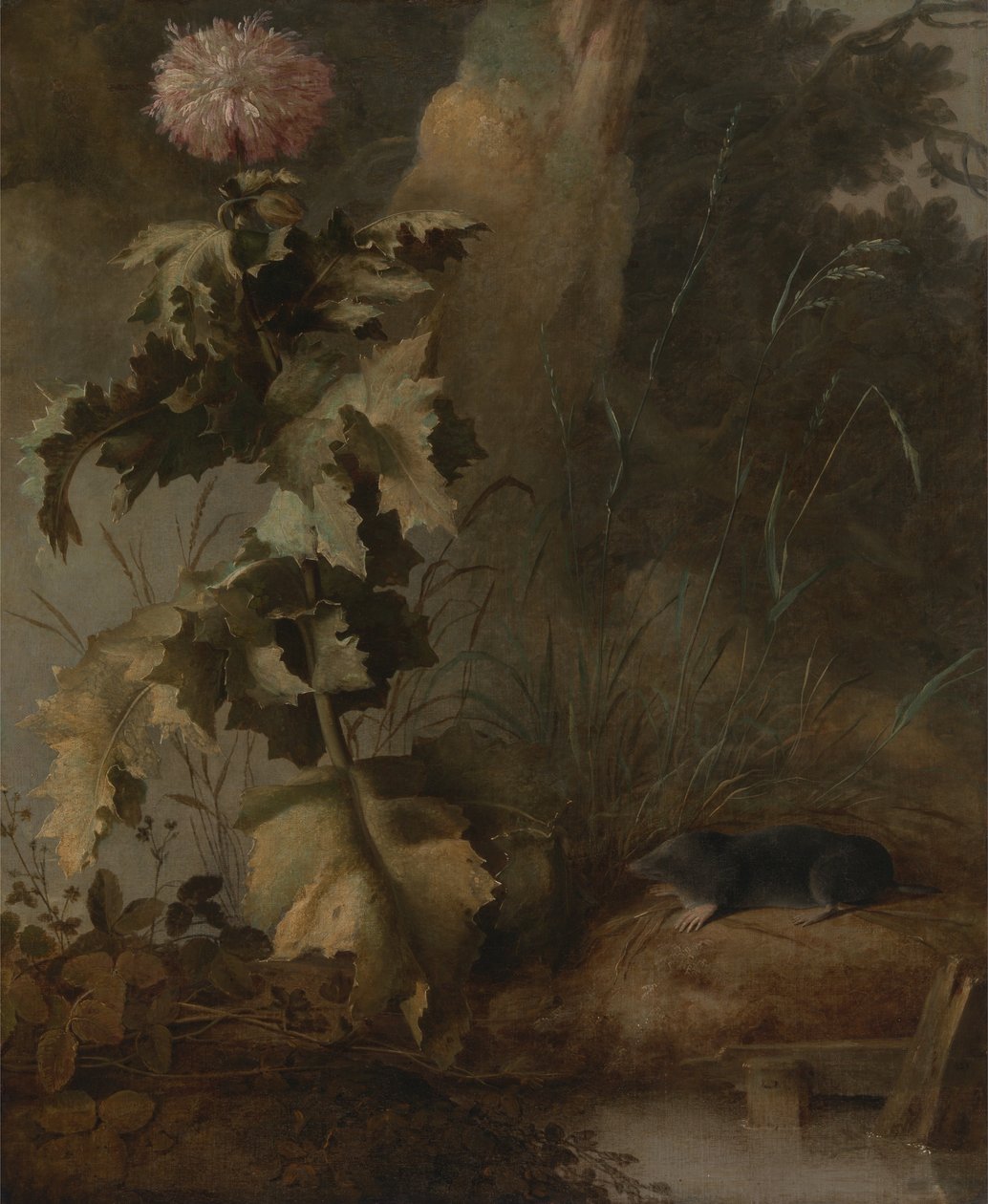  av John Crome