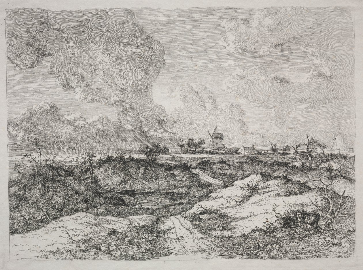 Mousehold Heath av John Crome